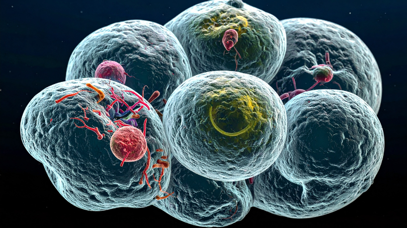 Para Milton Seigi Hayashi, evidência científica é essencial ao discutir células-tronco em tratamentos estéticos.