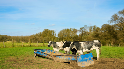Eficiência e sustentabilidade no campo: João Eustáquio De Almeida Junior analisa como a Integração Lavoura-Pecuária otimiza resultados em fazendas de grande porte.