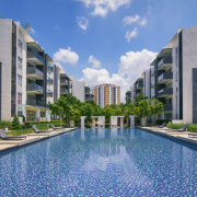 Alex Nabuco Dos Santos