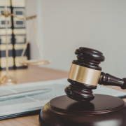 Sindnapi - Sindicato Nacional dos Aposentados, Pensionistas e Idosos