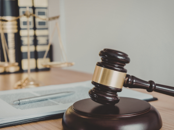 Sindnapi - Sindicato Nacional dos Aposentados, Pensionistas e Idosos