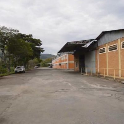 Família Shih
