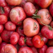 Close de tomates variados, com formas e texturas naturais, expostos em uma banca de feira.