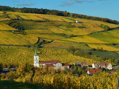 Vinhedos da Alsácia entre árvores com folhagem de outono e uma aldeia ao fundo, em paisagem de colinas.