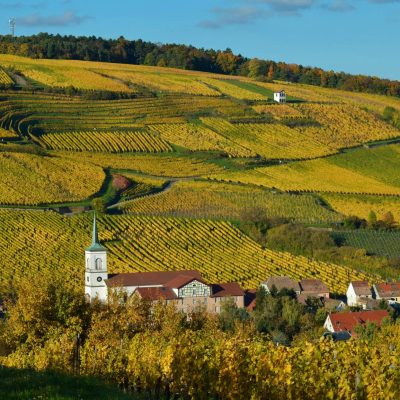 Vinhedos da Alsácia entre árvores com folhagem de outono e uma aldeia ao fundo, em paisagem de colinas.
